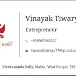 Business logo of Vinayak's world store