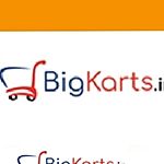 Business logo of Bigkarts 