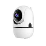 CCTV and Security Devices