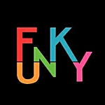 Business logo of The Funky Fashion