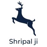 Business logo of Shripal products