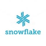 Business logo of Snow Flake