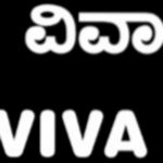 Business logo of VIVA FASHION