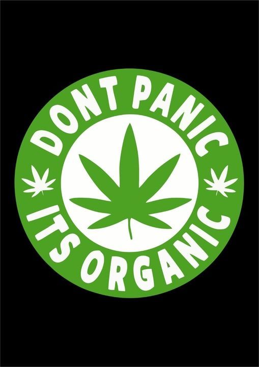 Don't panic its organic ! 180 GSM ! 100% cotton uploaded by T shirt enterprise on 5/22/2021