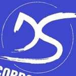 Business logo of DS Corporation