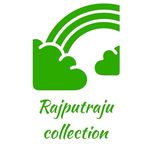Business logo of Rajputraju collection