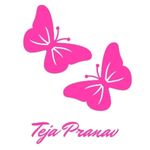 Business logo of Teja pranav collections