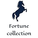 Business logo of Fortune collections