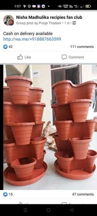 Flower pot uploaded by business on 5/25/2021