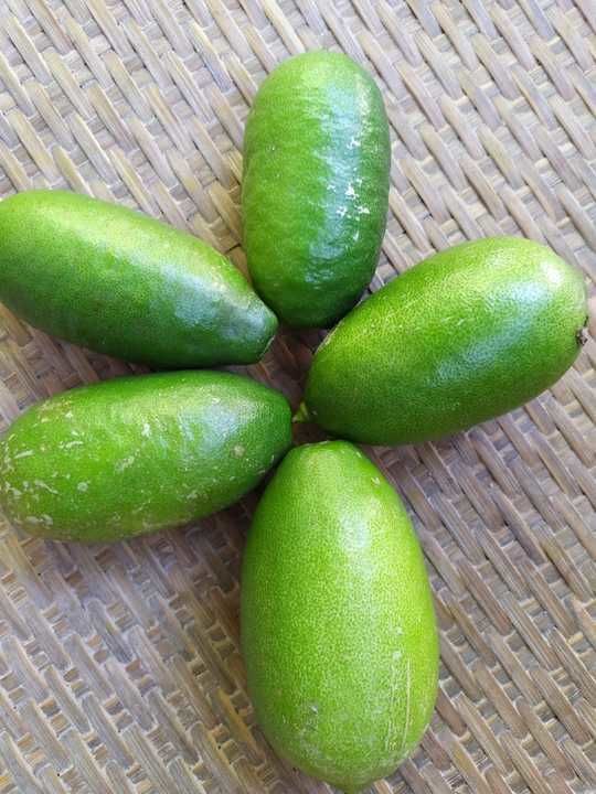 Fresh Kaji Nemu Assam Lemon (1kg) uploaded by P6 traders on 5/25/2021