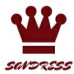 Business logo of SAN DRESS AND BAGS