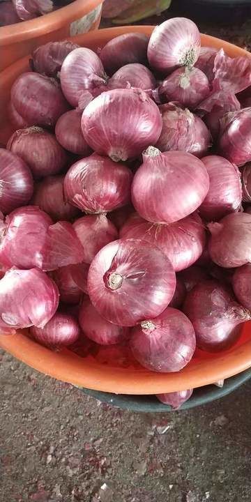Onion uploaded by Prakash Date on 5/26/2021