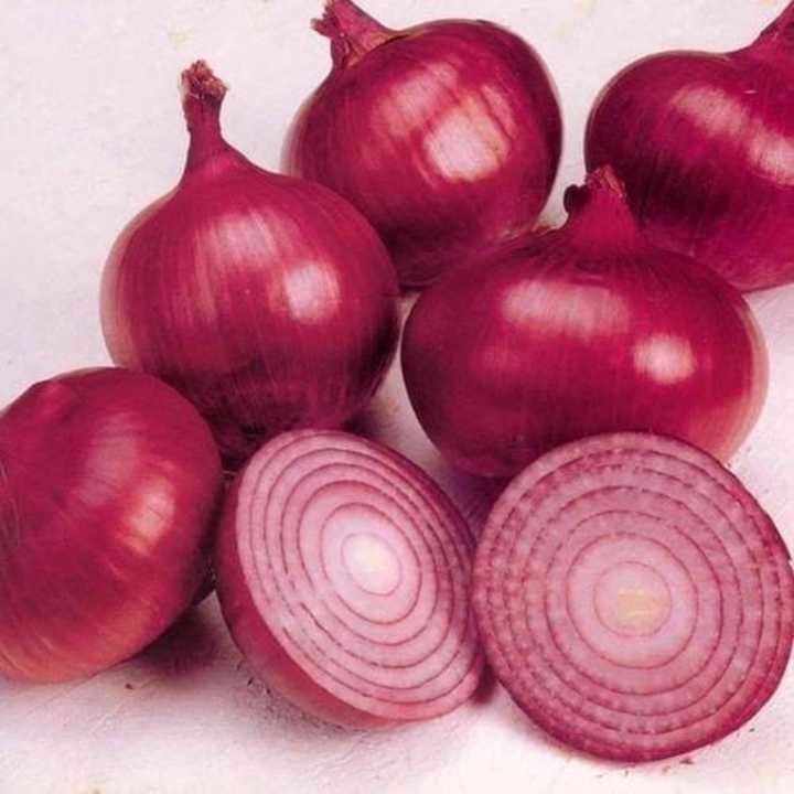 Onion uploaded by Gold rush onion on 5/28/2021