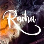Business logo of Rudra clothing store