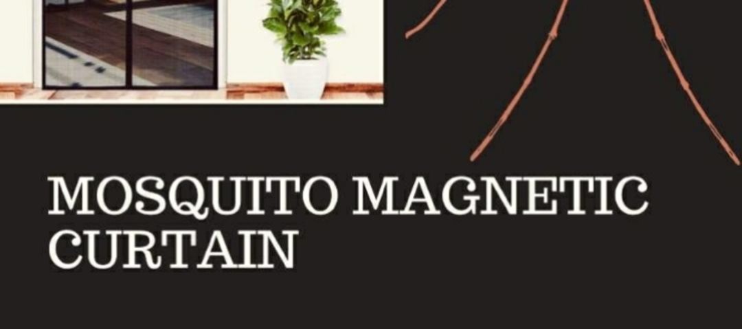 Mosquito magnetic curtain