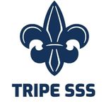 Business logo of TRIPLE SSS
