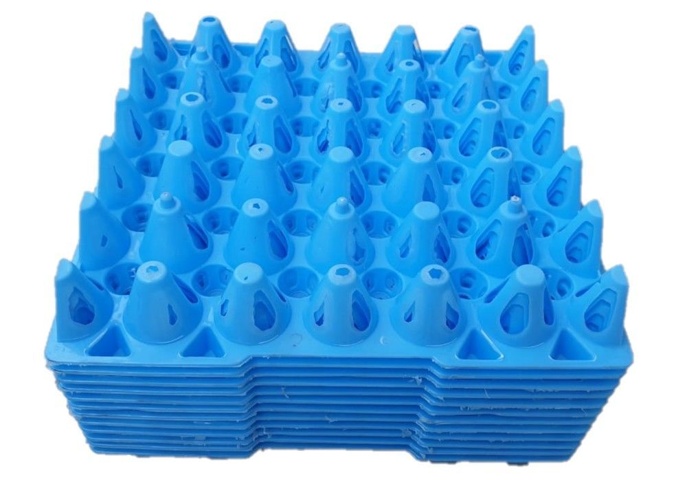 Egg tray set of 12 blue  uploaded by business on 6/2/2021