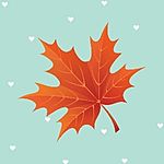 Business logo of Maple leaf Creation 🍁