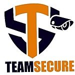 Business logo of Team Secure