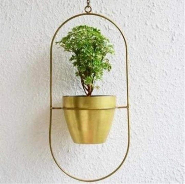 Hanging pot uploaded by business on 6/3/2021
