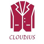 Business logo of Cloudius Store