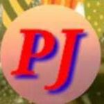 Business logo of Pj fashion