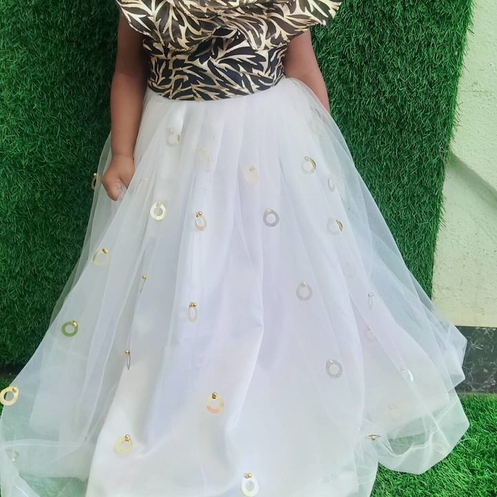 Net jumba fabric uploaded by Swathi fashions  on 6/6/2021