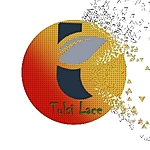 Business logo of Tulsi Enterprise 
