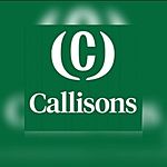 Business logo of Callisons Flavours