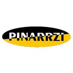 Business logo of Pinarrzi