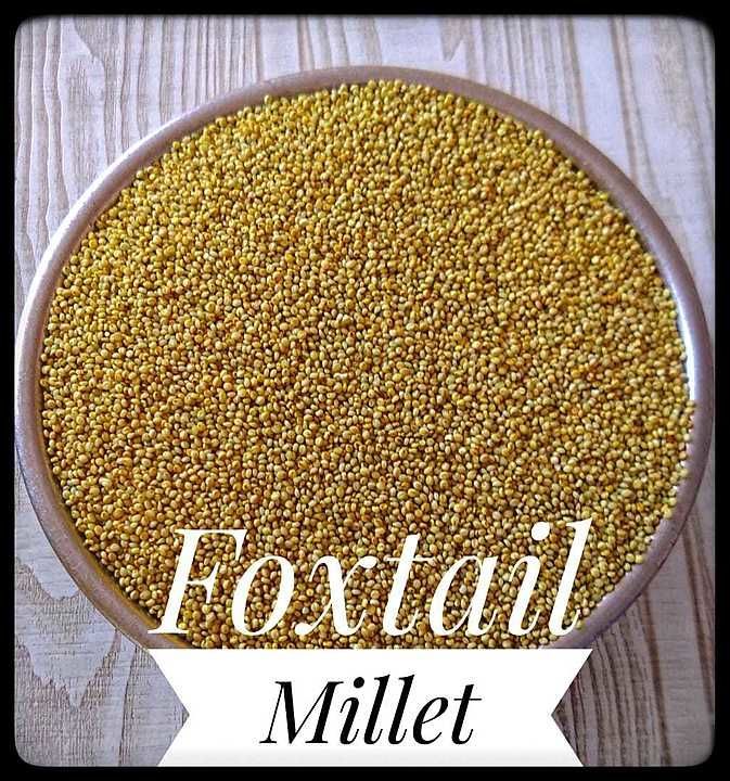 Foxtail millet uploaded by business on 8/11/2020