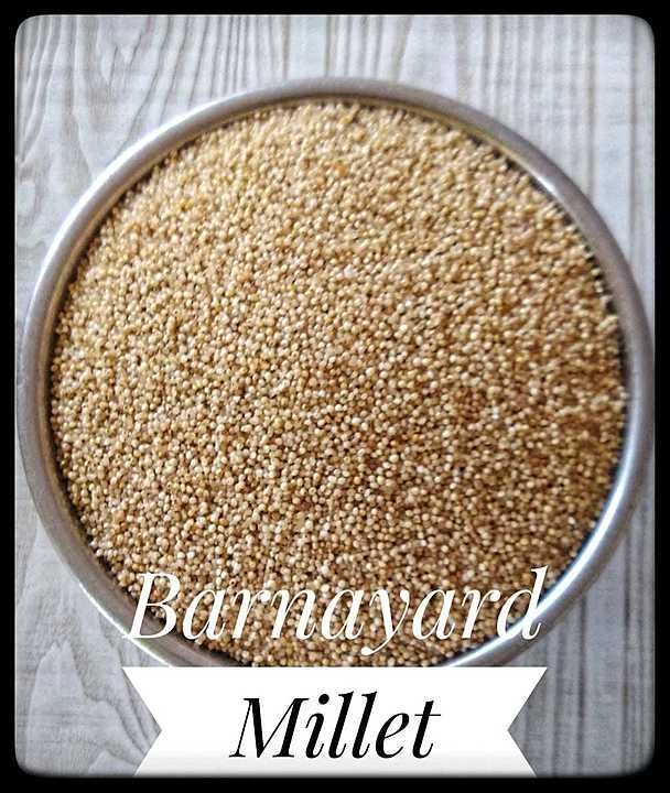 Barnyad millet uploaded by Mr. Organic on 8/11/2020