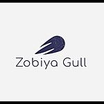 Business logo of Zobiya Gull Trading private Ltd 