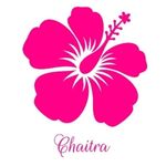 Business logo of Chaitra collection 🌸