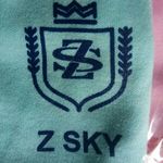 Business logo of Z Sky 