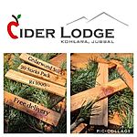 Business logo of Cider lodge