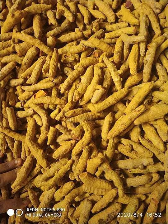 Haldi vaygao per kg rates uploaded by business on 8/12/2020