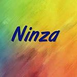 Business logo of Ninza Distributors