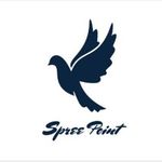 Business logo of Spree Point