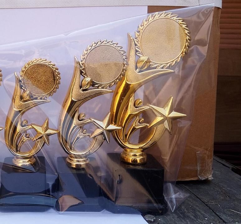 Plastic Trophy set uploaded by Corporate Gifting Solutions on 8/13/2020