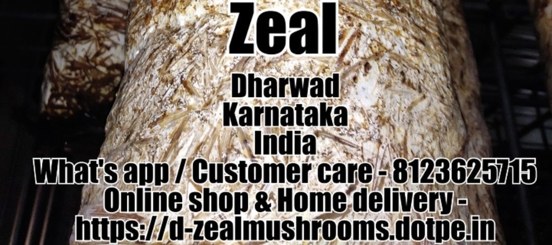 Zeal Mushrooms