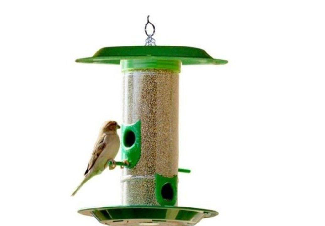 Cod Available,🌹Bird Feeder uploaded by ALLIBABA MART on 6/13/2021