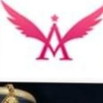 Business logo of Angels Arena