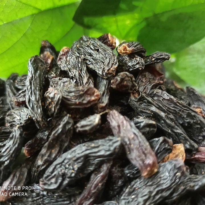 Black raisins  uploaded by Malhar dryfruit on 6/16/2021