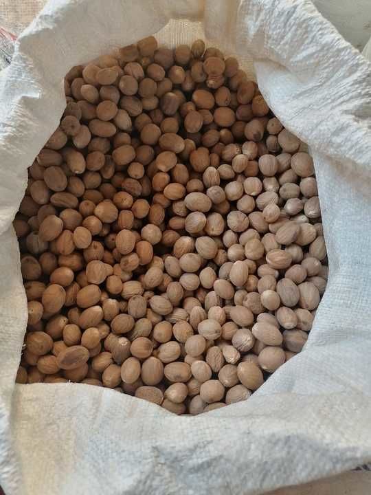 Jaifal ( Nutmeg) uploaded by Pattanavallil Traders Pvt Ltd on 6/16/2021