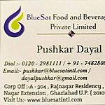Business logo of BlueSat Food and Beverage Private L