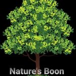 Business logo of Nature's Boon