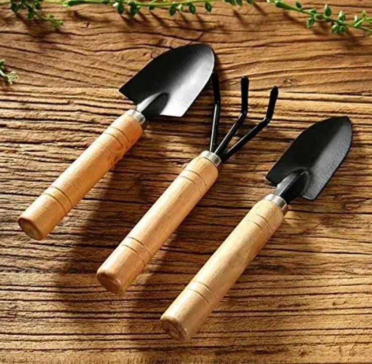 Post image I want 500 Pieces of Wooden Handle Small Sharp Shovel Rake Mini Garden Tool Set (3 Piece Set).
Below are some sample images of what I want.