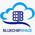 Business logo of Bluechip Techno Solution