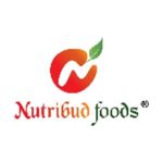 Business logo of Nutribud Foods